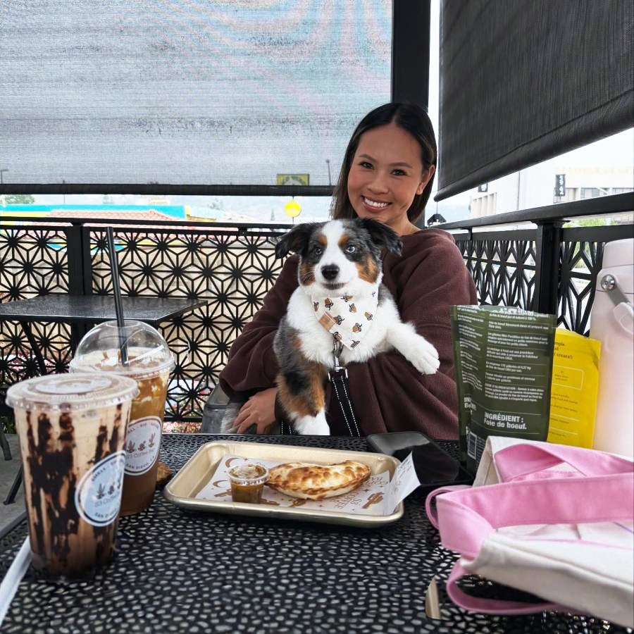 a person holding a dog